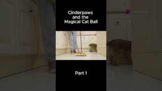 Part 1 Cinderpaws and the Magical Cat Ball [upl. by Elise]