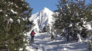 Skitour von Seewald zum Gschwandtkopf 18122018 [upl. by Enila]