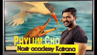 Phylum Chordata part 1 Animal kingdom for class 11 and neet students [upl. by Ahsieym981]