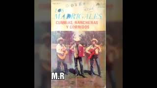 los madrigales mira elvira [upl. by Bobina49]