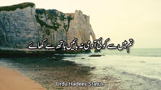 💞Hadees urdu Status💞  🌹Hadees Status New Video🌹  Hadees In Urdu Status For WhatsApp [upl. by Cormac850]