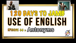 Words And Antonyms VI » 120 Days To Jamb English  Episode 44 [upl. by Arfihs759]