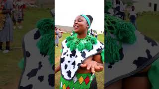 UMEMULO KABUHLE SITHOLE africa african zulu traditional [upl. by Shamrao]