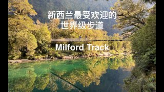 Milford Track 新西兰最受欢迎的十大步道，the most popular Great Walk in New Zealand [upl. by Ferde]