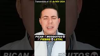 CONTAGIO 🚨 fiebre mortal mosquitos urgente [upl. by Eek953]