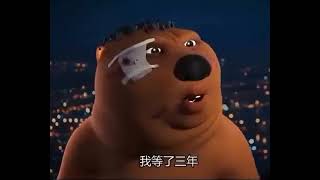 Chinese Bear Shouting meme template [upl. by Lole]