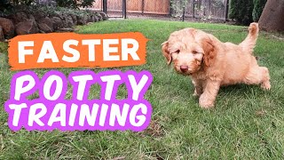 6 Potty Training Secrets NOBODY Shares 🐶 Seriously try these with your puppy [upl. by Ahseral]