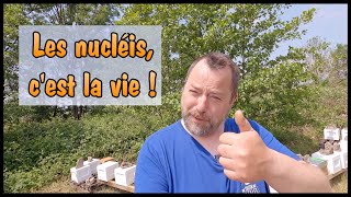 courte visite de nucs [upl. by Acirfa]