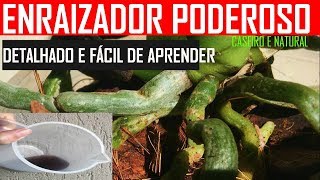 ENRAIZADOR DE ORQUIDEAS CASEIRO e enraizador de plantas potente hormônio natural n é adubo frtz [upl. by Santini]