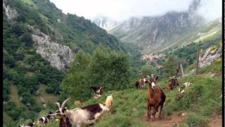 113 Ruta desde Tielve a las Majadas de Vierru Valfrío y Tobaos Invernales del Texu Collado Pandébano Sotres Valle de Sobra y Tresviso [upl. by Bord582]