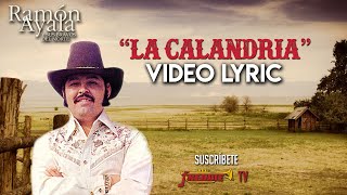 Ramon Ayala  La Calandria  VIDEO LYRIC OFICIAL [upl. by Ardnohs]