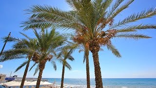 Tour delle spiagge di Marina di Ragusa col drone [upl. by Formica738]