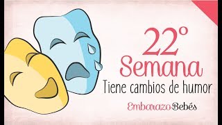 SEMANA 22 de Embarazo  6º Mes  Semana a semana [upl. by Aslehc]