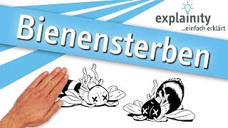 Bienensterben einfach erklärt explainity® Erklärvideo [upl. by Christiane]