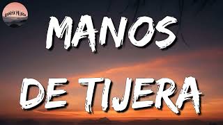 🎵 Camilo  Manos de Tijera  La Adictiva Calibre 50 La Pantera Letra\Lyrics [upl. by Irod]