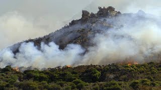 This Amazing Plant Ecosystem Actually Thrives on Fire 4K [upl. by Ambrosio]