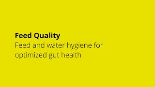 Feed Quality  Feed and water hygiene for optimized gut health [upl. by Ientruoc317]