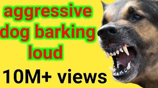 Dog Barking Sound  Dog Sounds Angry  Dog Barking  Dog Sound [upl. by Partan]