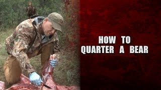 How to quarter a bear  Fred Eichler [upl. by Chance]