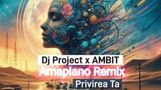 Dj Project x Ambit  Privirea Ta  Amapiano Remix  2024 [upl. by Anawed]