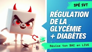 Révisions BAC spé SVT  GLYCÉMIE [upl. by Abigale380]