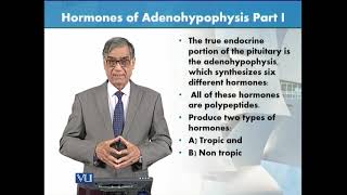 Hormones of Adenohypophysis  Part 1  Animal Form amp Function 1 Theory  ZOO516TTopic126 [upl. by Ijic]