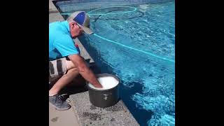 Craigs Quality Pool Service  Highfields Toowoomba [upl. by Arbmat108]