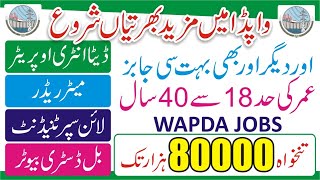 Wapda FESCO Jobs 2024  FESCO Career 2024  Wapda Vacancies 2024  Latest FESCO Jobs New FESCO Jobs [upl. by William]