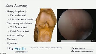 Regenerative and Restorative Options for Knee Arthritis and Cartilage Injuries [upl. by Ayom]