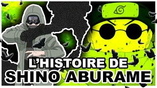 Histoire de Shino Aburame Naruto amp Boruto [upl. by Earahc]