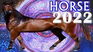 Horse Horoscope 2022  Born 2014 2002 1990 1978 1966 1954 1942 1930 [upl. by Sitra]