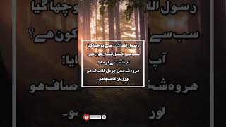 Sab se afzal insan kon hai ۔hadees Mubarak in Urdu hadeesmubarak [upl. by Midis]