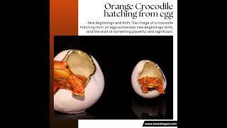 Orange Crocodile hatching from egg trinket box By Keren Kopal [upl. by Eelac]