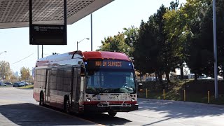 Full Trip TTC Route 104 Faywood on 2023 NovaBus LFS HEV 7015 [upl. by Tsenre92]