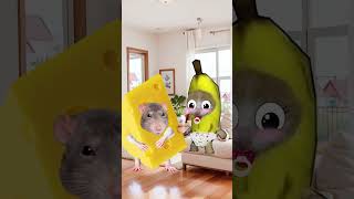 Baby Banana Cat 🍌🐱 Fights A Giant Mouse 🐭🙀 [upl. by Francesca]