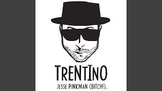 Jesse Pinkman Bitch [upl. by Ennair]