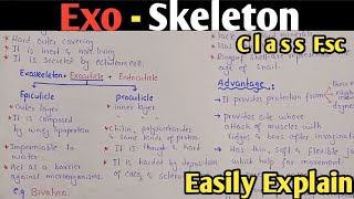 Exoskeleton  Exoskeleton Structure  Epicuticle  Procuticle  Ecdysis Moulting  Class 12 Urdu [upl. by Lindholm441]