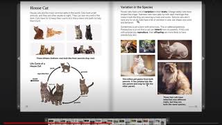 How to Use the Handbook of Traits video on YouTube [upl. by Hy]