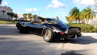 1979 trans am black beast tire shredder Bandit 4 speed [upl. by Nellak]