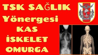 MSÜ Sağlık  𝐊𝐀𝐒 𝐯𝐞 İ𝐒𝐊𝐄𝐋𝐄𝐓 𝐒İ𝐒𝐓𝐄𝐌İ 𝐇𝐀𝐒𝐓𝐀𝐋𝐈𝐊𝐋𝐀𝐑𝐈 Omurga Eğriliği Düztaban Skolyoz [upl. by Atled769]