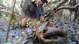 Viral Video Crab 2020  Find n Catch Big Crab by Hand in Flooded Forest Sea After Water Went Down [upl. by Lussi]