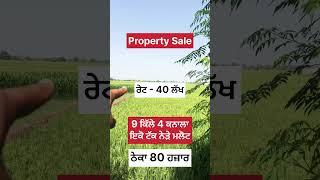 Property Sale 🌾🌾 property propertyforsale farming sale purchase jatt farmer 30 [upl. by Diaz]