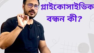 What is Glycosidic Bond ❓গ্লাইকোসাইডিক বন্ধন কী [upl. by Corley]