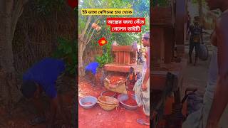 অল্পের জন্য বেঁচে গেলেন ভাইটিইট ভাঙ্গা যন্ত্র 3 [upl. by Isle]