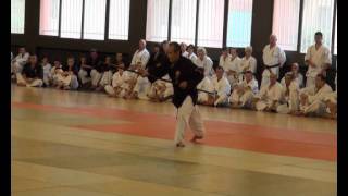 Shidokan Seminaire 2011 [upl. by Onailime]