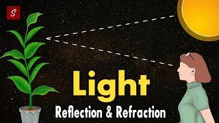 Light Reflection and Refraction Class 10 full chapter Animation  Class 10 Science Chapter 10 [upl. by Sharon]