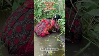 చెల్లితో చేపల వేట🐠🥺😍DAY8fishing fishingvideo villagevlog villagefishinglife ytshorts fish [upl. by Eikcim542]