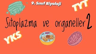 9sınıf Sitoplazma ve organeller 2 [upl. by Anila578]