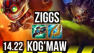 ZIGGS amp Neeko vs KOGMAW amp Yuumi ADC  315  KR Master  1422 [upl. by Akinad713]