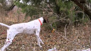 Bluestem Hunting Reserve Large slideshow [upl. by Maison]